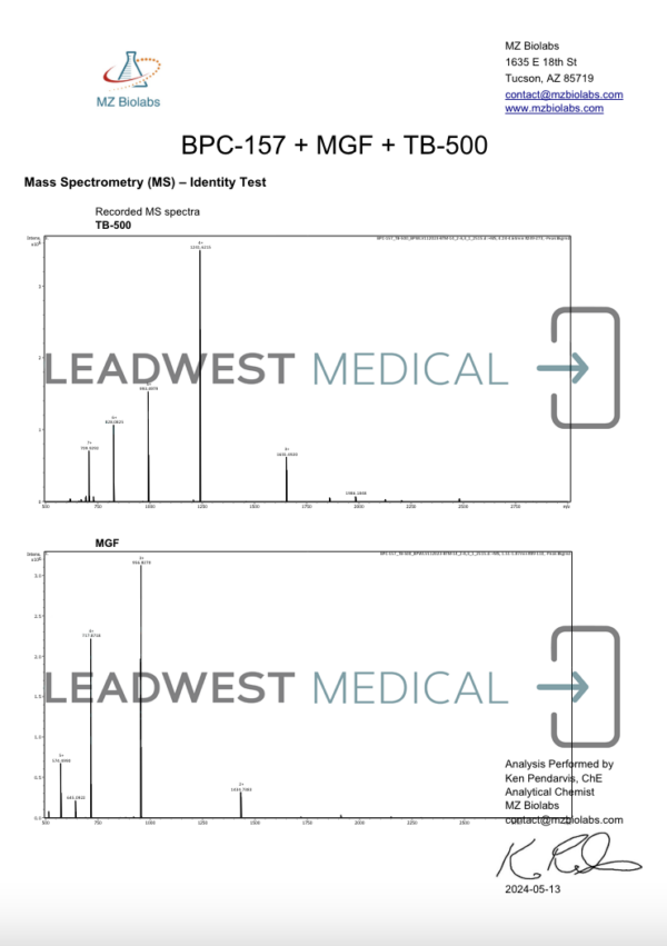 BPC Wolverine - Image 4